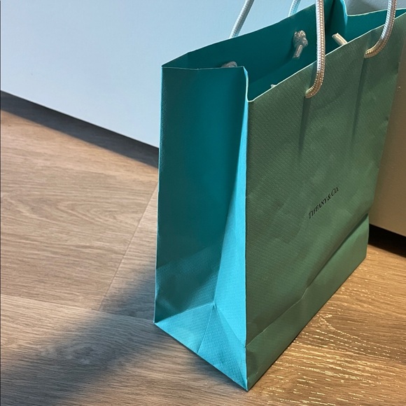 Tiffany & Co. Gift Bag - Picture 7 of 8